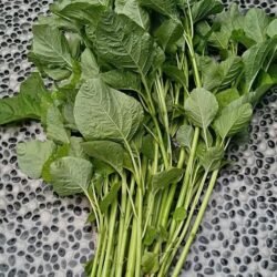Bayam 1 ikat