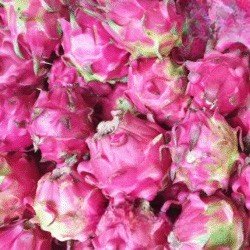 Buah Naga 1 Kg